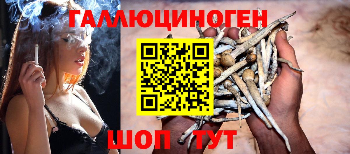 Коломна  Галлюциногенные грибы Magic Shrooms  Вход с VPN 